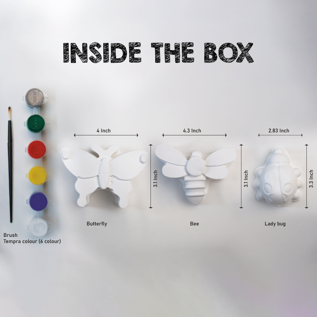 Insects | 3+ years | DIY STEAM 3D Coloring kit
